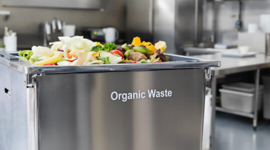 déchets de cuisine